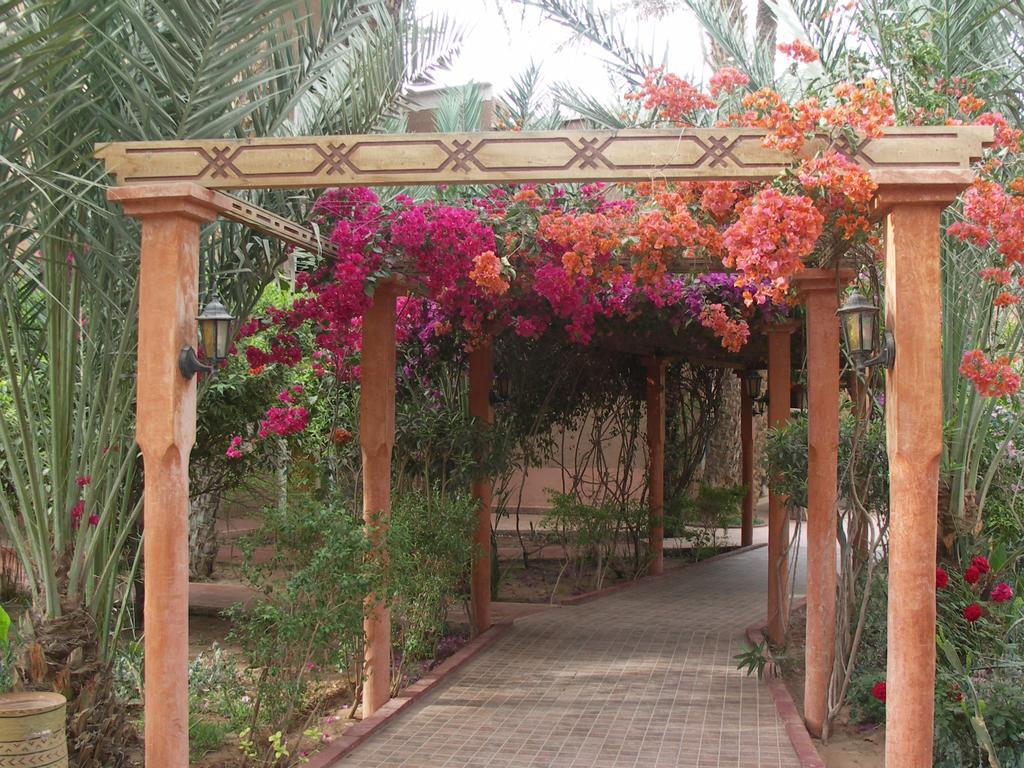 Fibule Du Draa Kasbah D'Hotes Zagora Luaran gambar