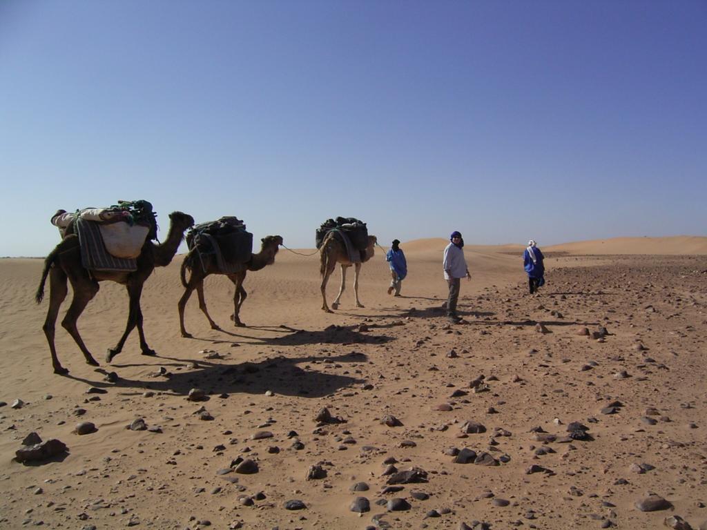 Fibule Du Draa Kasbah D'Hotes Zagora Luaran gambar