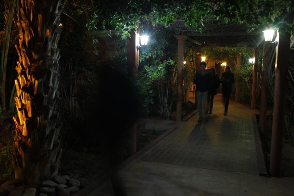Fibule Du Draa Kasbah D'Hotes Zagora Luaran gambar