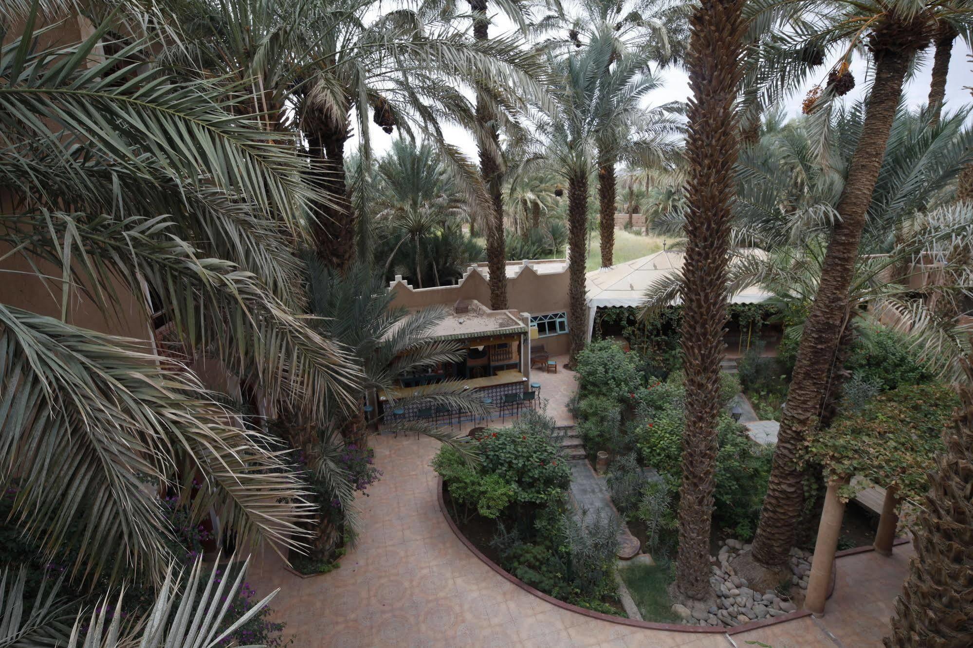 Fibule Du Draa Kasbah D'Hotes Zagora Luaran gambar