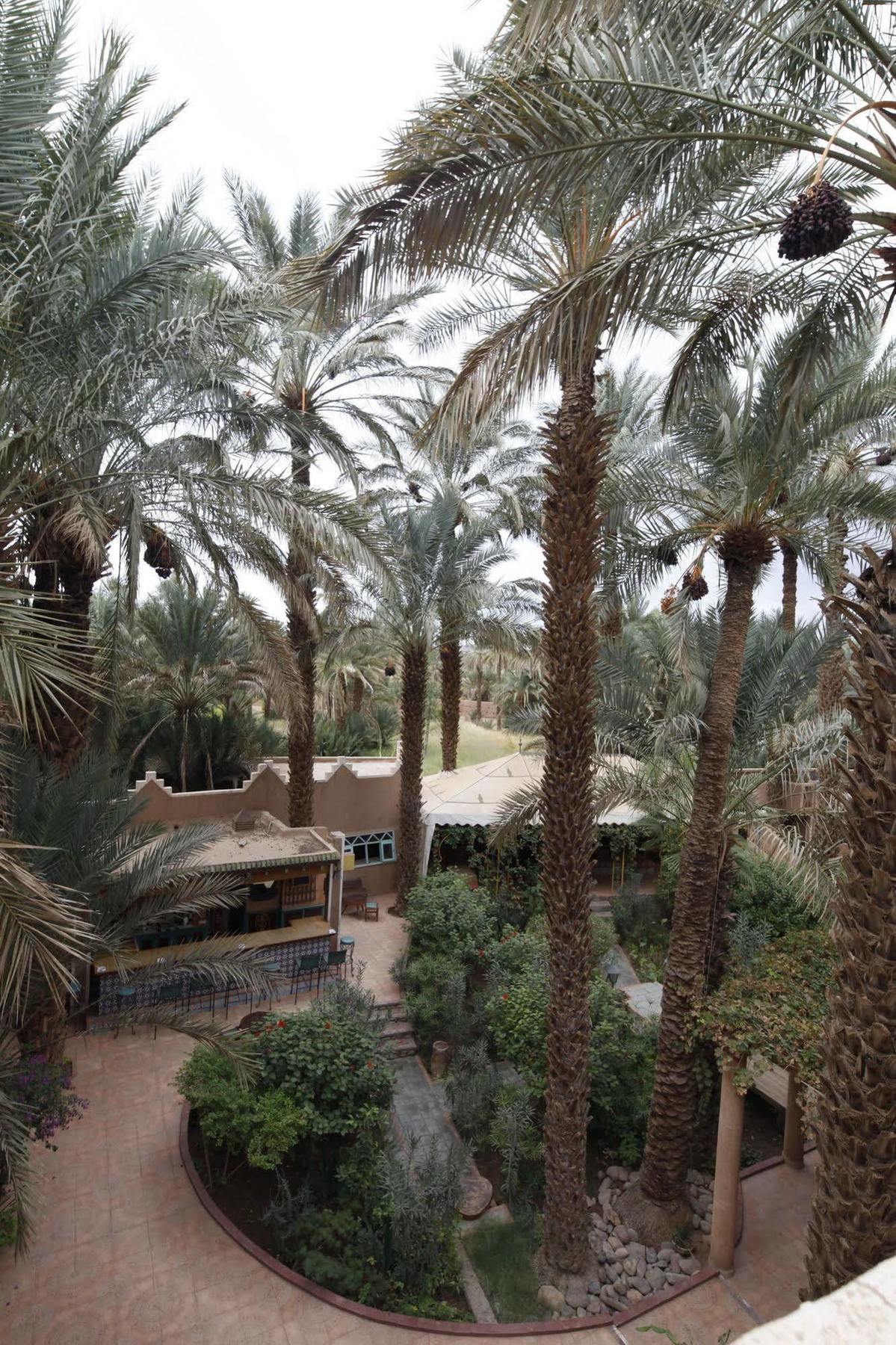 Fibule Du Draa Kasbah D'Hotes Zagora Luaran gambar